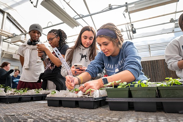 students working together on plant research in a greenhouse